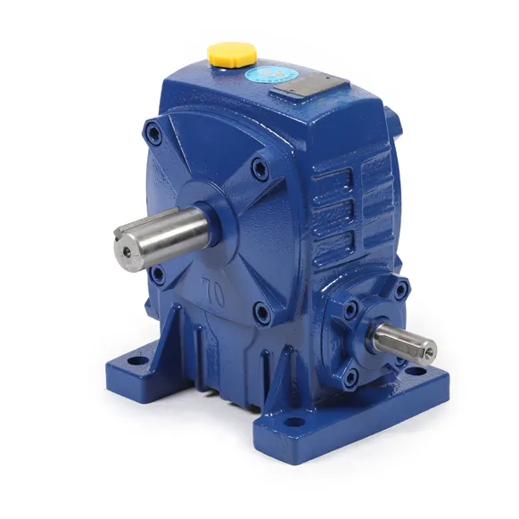 WP Worm Gear Reducer 