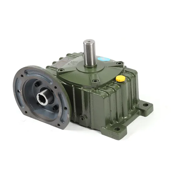 WP Worm Gear Reducer