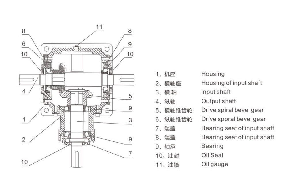 Exploded View of T Spiral Bevel Gear Reducer