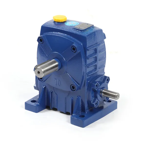 WP Worm Gear Reducer