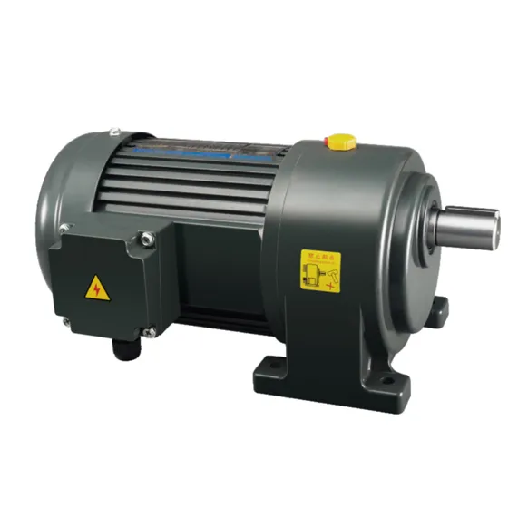 Brake Geared Motor 